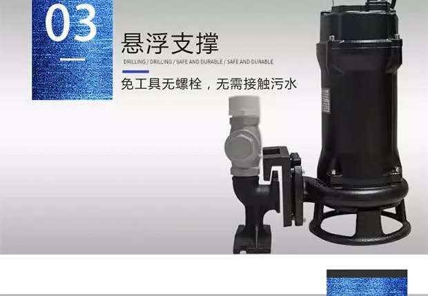 江西赣州PE双泵污水提升器厂家